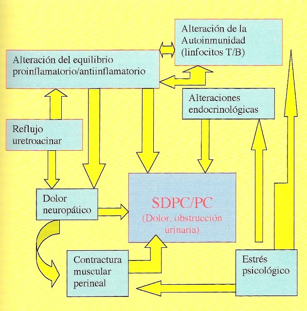 prostatitis crónica reflujo de orina prostatitis crónica reflujo de orina